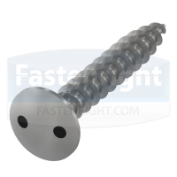 2 Hole Raised Countersunk Self Tapping Security Screw