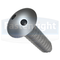 2-Hole Truss Head Self Tapping Security Screw