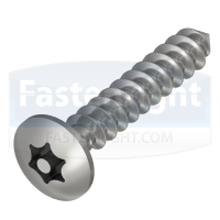 SecuFast 6-Lobe Pin M6 x 20 BH A2