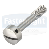 Slotted Capstan Captive Screw