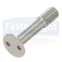 Security 2-Hole Countersunk Captive Screws