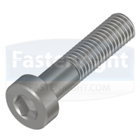 Duplex Stainless Steel Hex Socket Head Cap Screw
