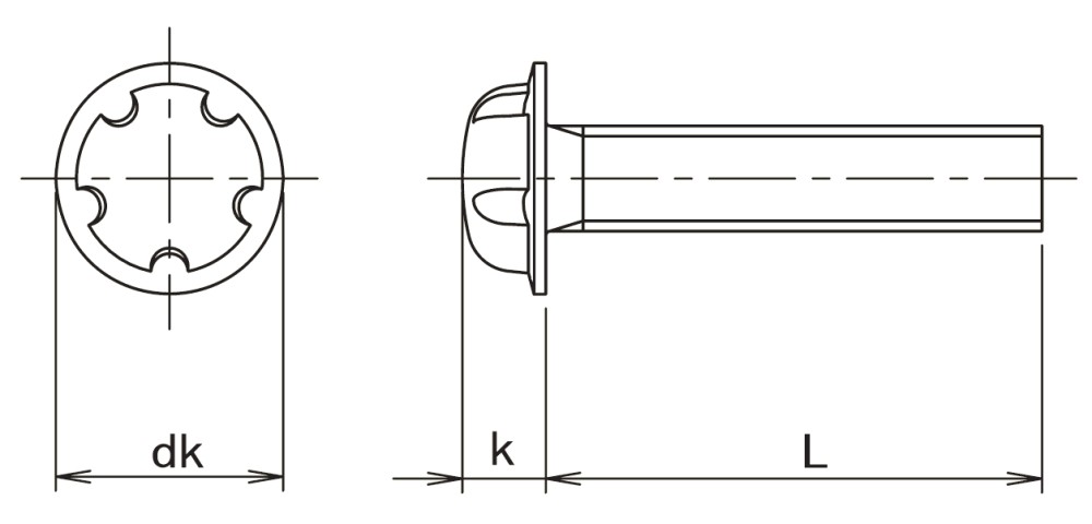 E5 Drive Security Screw Technical Drawing