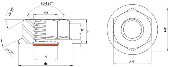 Hex Flange O-Ring Seal Nuts Technical Drawing
