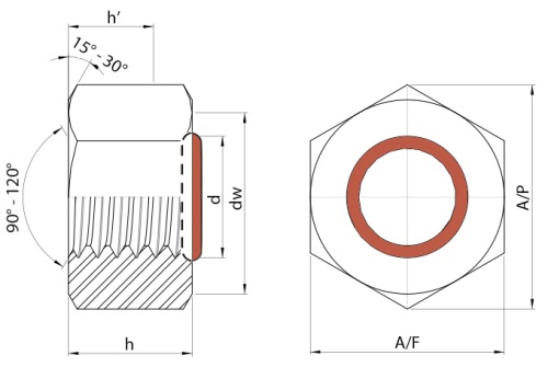 Hex Full Nuts with O-Ring Seal Technical Drawing