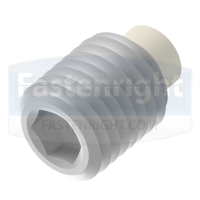 Nylon Tipped Grubscrew