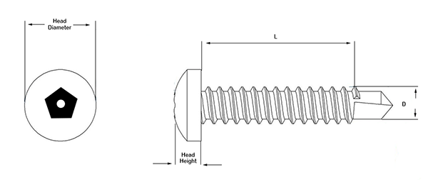 Pin Pentagon Pan Self Drilling Machine Screw