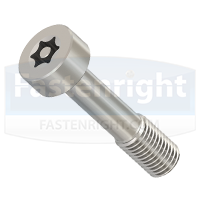 Security Captive Screws