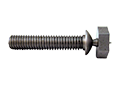 Shear-Bolt