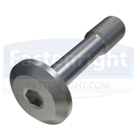 Socket Micro Profile Head Captive Screws