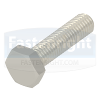 Titanium Hexagon Head Screw