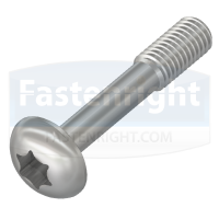 Torx Button Head Capture Screw