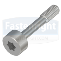 Torx Cap Head Captive Screws