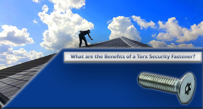 What are the Benefits of a Torx Security Fastener?
