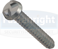 number plate security screw