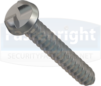 Number Plate Security Screws