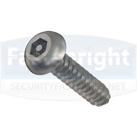pin-hex-button-self-tapping-security-screw