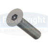 pin-hex-countersunk-security-machine-screw