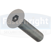 pin-hex-countersunk-security-machine-screw