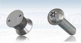 Click to view Security Fastener products