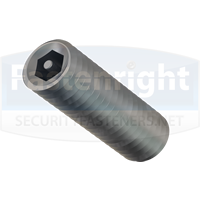 security-grub-screws