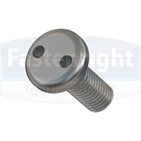 Security Machine Screws