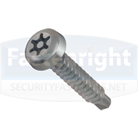 Self Drilling Security Screws