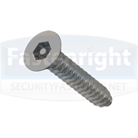 self-tapping-security-screws
