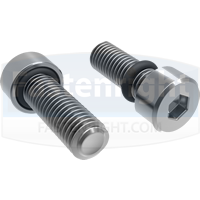 Socket Cap Seal Screws