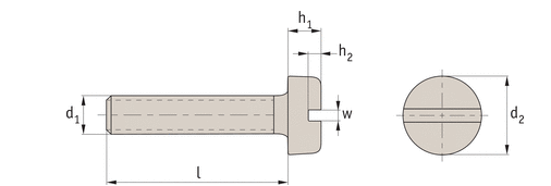 titanium slot cheese screw technical drawing