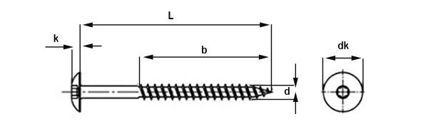 TX Truss Head Woodscrews Coloured Head