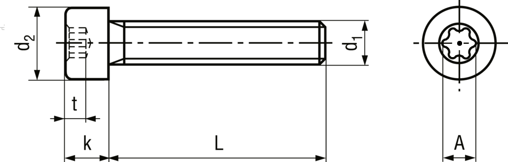 Pin TX cap screw