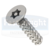 6 Lobe Pin TX Countersunk Thread Forming Security Screw