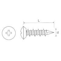 Window screws SHS