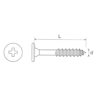 Window screws TSA